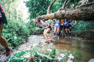 BIB: 
                            <button type="button" onclick="openModal(25470798)" class="btn btn-primary btn-sm float-right btn-popup" data-toggle="modal" data-target=".modal-high-quality">
                        <i class="fas fa-shopping-cart"></i> Add to Cart
                    </button>
                                            <button type="button" onclick="isThisMe(25470798, true)" class="btn btn-success btn-sm float-right btn-popup btn-isme hidden" data-toggle="tooltip" data-placement="bottom" title="นี่คือรูปของคุณใช่ไหม คลิกที่นี่เพื่อเอาเข้าอัลบั้ม">
                        <i class="fas fa-plus"></i> Add to album
                    </button>
                    <button type="button" onclick="isThisMe(25470798, false)" class="btn btn-warning btn-sm float-right btn-popup btn-isnotme hidden">
                        <i class="fas fa-ban"></i> Remove from album
                    </button>